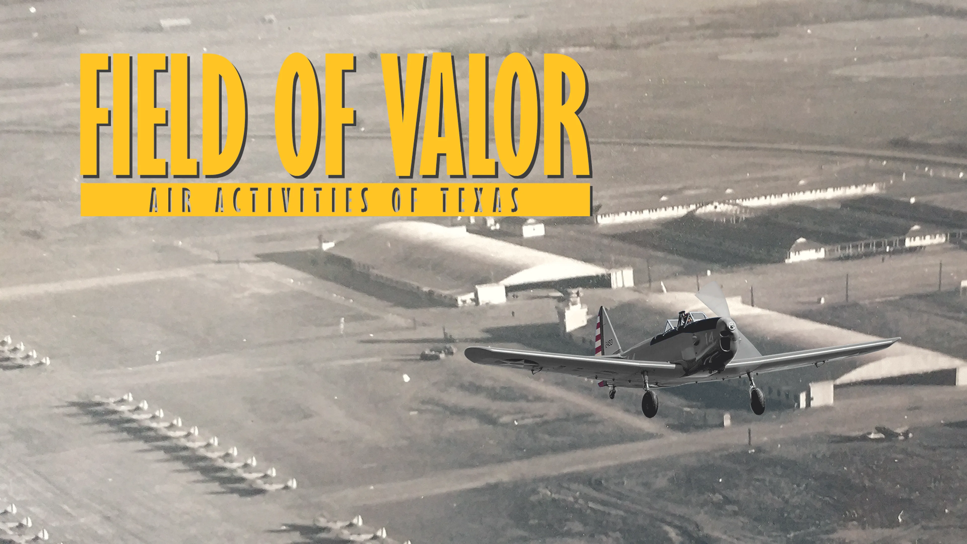 Field of Valor poster